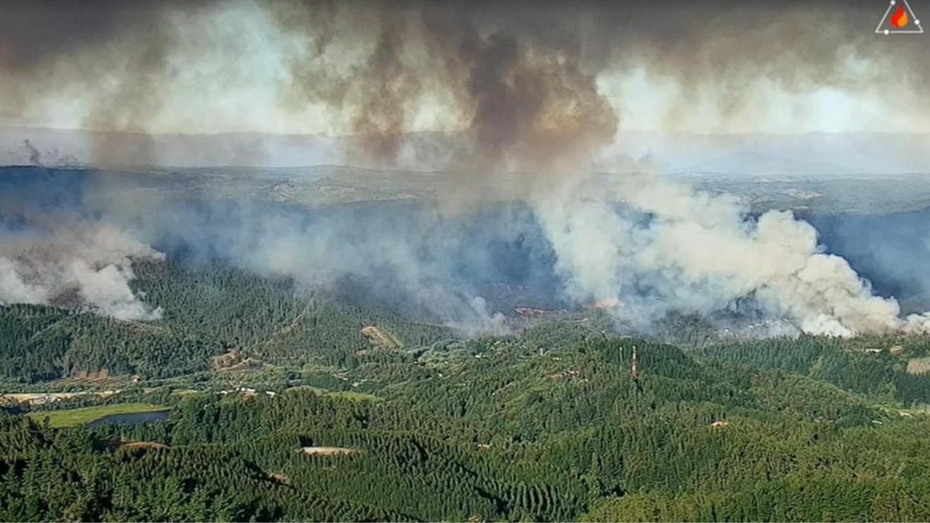 Fiscalía detalla cómo se habría originado el mega incendio en el Biobío: fuego inicial fue menor, pero se propagó por pavesas