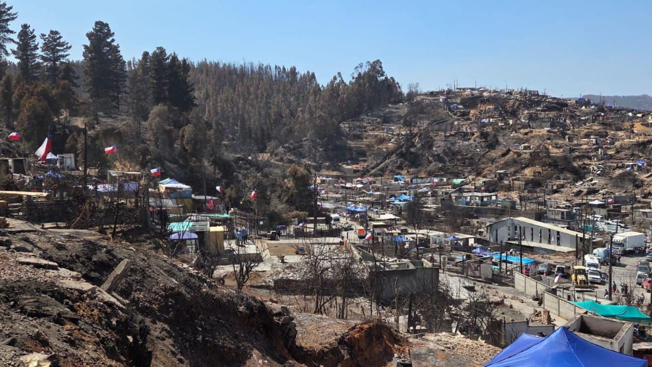 Experto UdeC se refiere a lo que viene tras los Incendios Forestales en Penco y Tomé: Hacer mapa de riesgos por consecuencias de erosión
