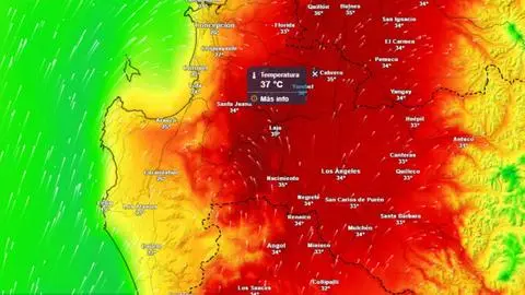 Ola de calor durante tres días consecutivos afectará a sectores de Ñuble y el Biobío esta semana