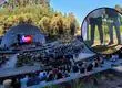 Regalarán mil árboles nativos en el Jazzaut de San Pedro de la Paz de este 10 y 11 de enero
