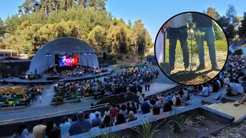 Regalarán mil árboles nativos en el Jazzaut de San Pedro de la Paz de este 10 y 11 de enero