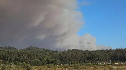 Surge la teoría de una cocina a leña en mal estado tras detención del presunto autor del incendio Trinitarias en el Biobío