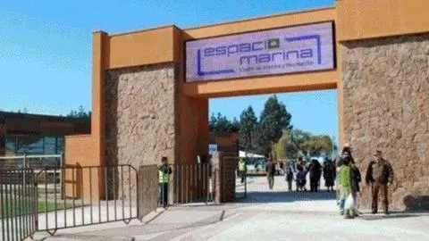 Gobierno se hace parte de querella por homicidio de joven durante fiesta de Año Nuevo en Talcahuano