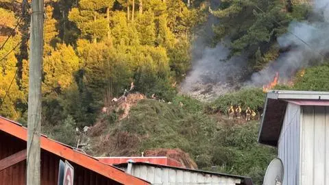 Incendios forestales: vecinos realizan cadena humana para combatir el fuego en sector Palomares