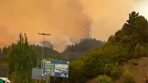 Incendio forestal alcanza al sector Palomares en Concepción: Habrían viviendas quemadas