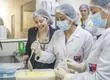 Seremi de Salud fiscaliza fábrica de helados en Concepción y entrega balance: más de 2600 inspecciones 2025