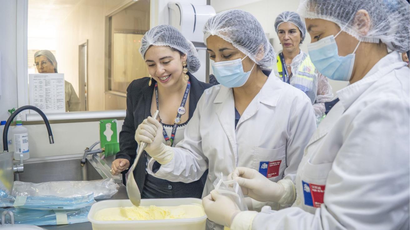 Seremi de Salud fiscaliza fábrica de helados en Concepción y entrega balance: más de 2600 inspecciones 2025