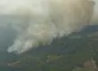Alerta roja en comuna de Ránquil por incendio forestal: ha consumido más de 220 hectáreas en pocas horas
