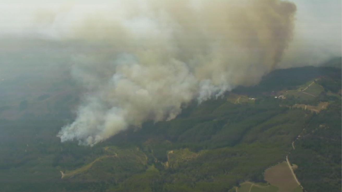 Alerta roja en comuna de Ránquil por incendio forestal: ha consumido más de 220 hectáreas en pocas horas