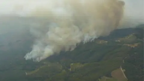 Alerta roja en comuna de Ránquil por incendio forestal: ha consumido más de 220 hectáreas en pocas horas