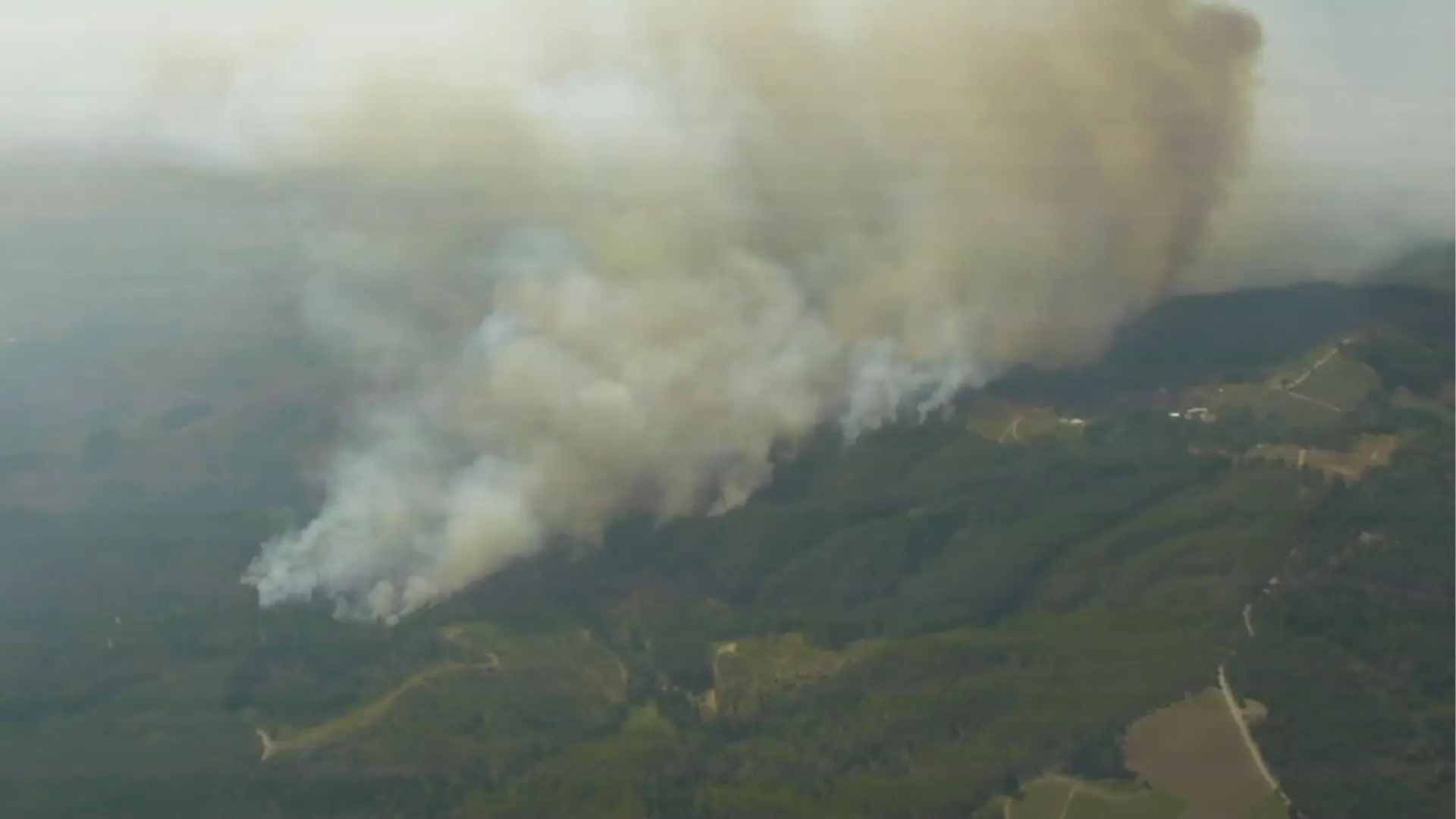 Alerta roja en comuna de Ránquil por incendio forestal: ha consumido más de 220 hectáreas en pocas horas