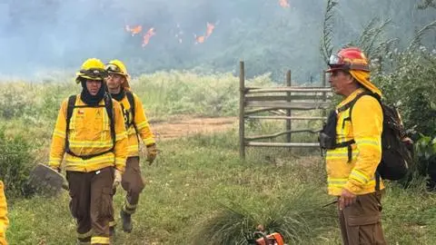 Más de 2.000 hectáreas arrasadas por incendios forestales en la Región del Ñuble