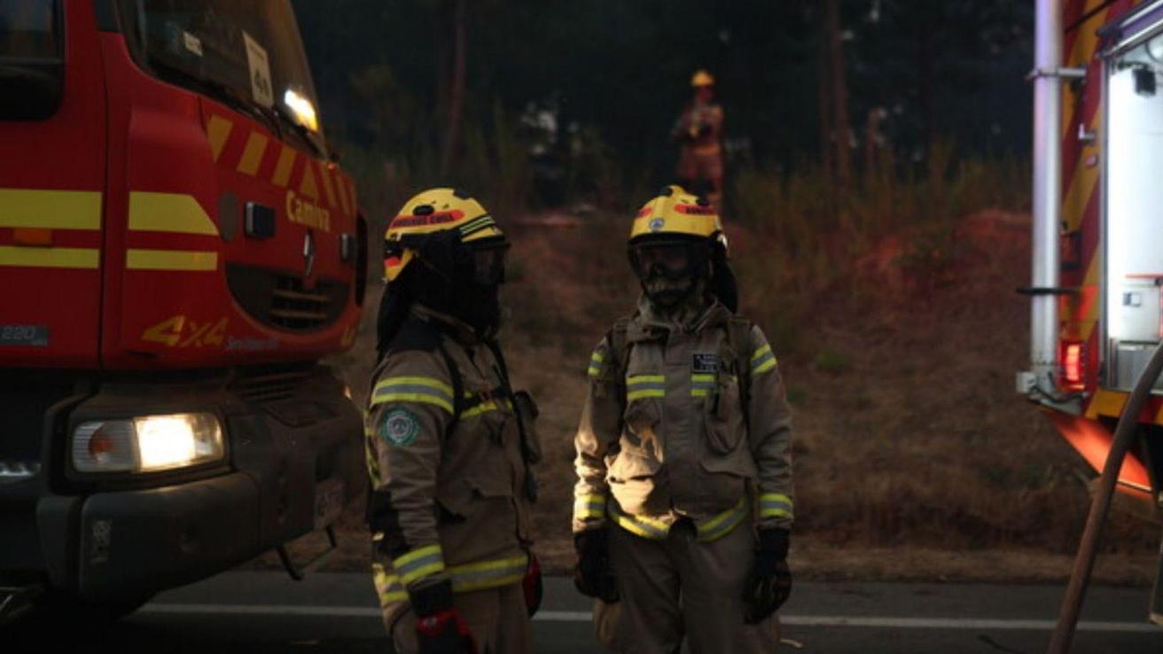 Más de $400 millones en pérdidas: Bomberos del Biobío revela millonario impacto tras incendios forestales