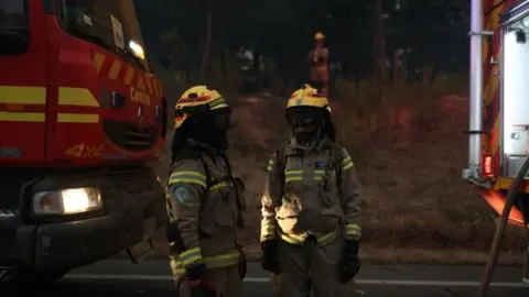 Más de $400 millones en pérdidas: Bomberos del Biobío revela millonario impacto tras incendios forestales