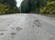 El trabajo para que vuelva la inversión a la Provincia de Arauco
