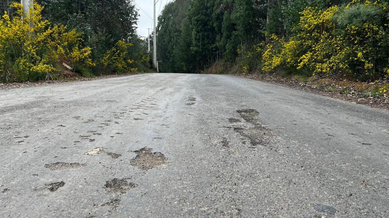 El trabajo para que vuelva la inversión a la Provincia de Arauco