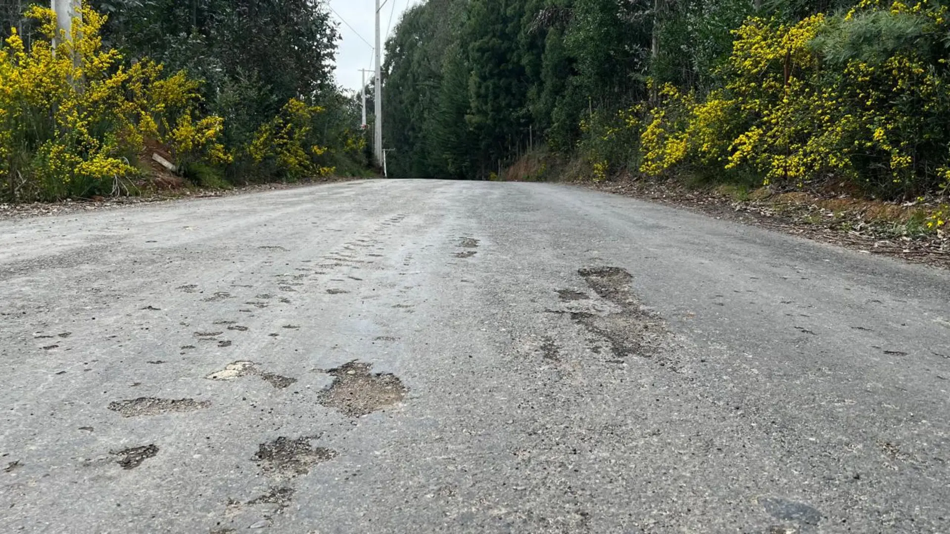 El trabajo para que vuelva la inversión a la Provincia de Arauco