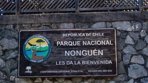 La Asociación de Municipios del Biobío anuncia apelación a querella por incendios forestales