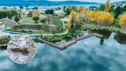 Autoridades y comunidad buscan impulsar la protección de la Laguna Rayenantú en el Biobío como humedal urbano