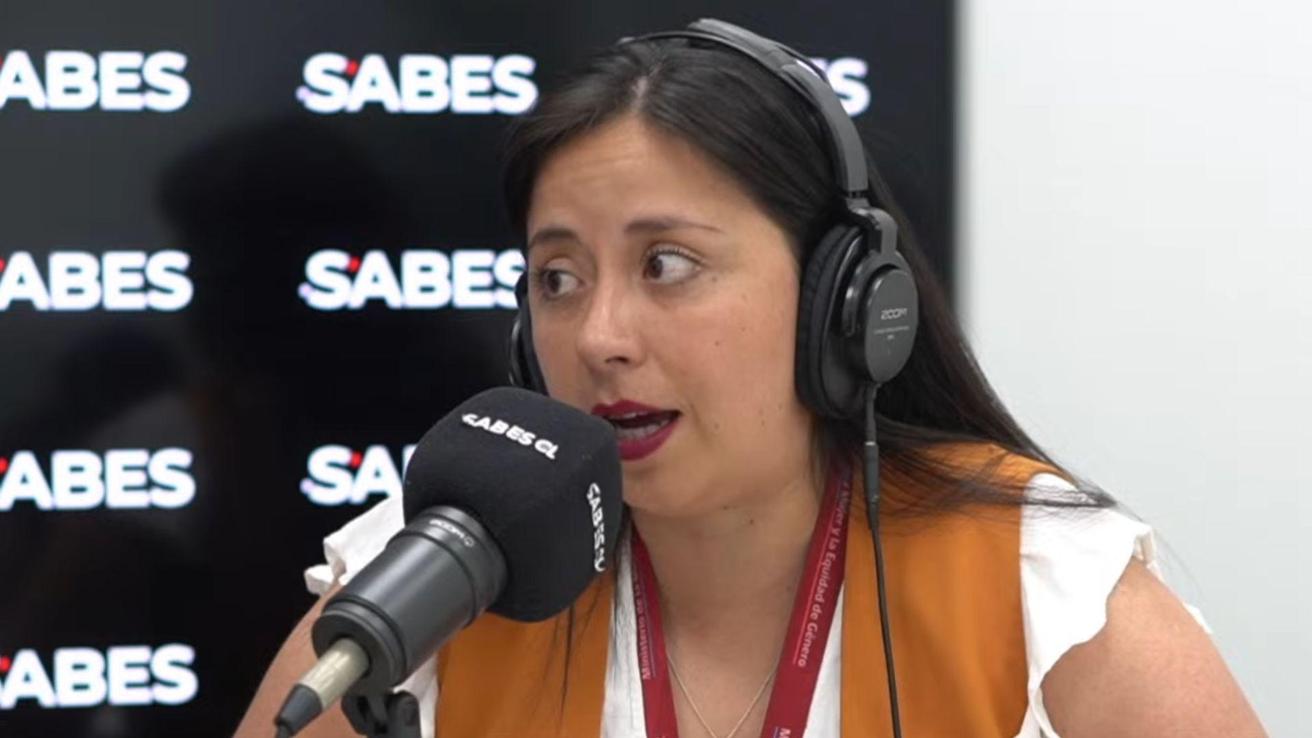 Red Local de Apoyos, Centros Comunitarios, filas exclusivas y más: Los alcances de la nueva ley Chile Cuida en el Biobío