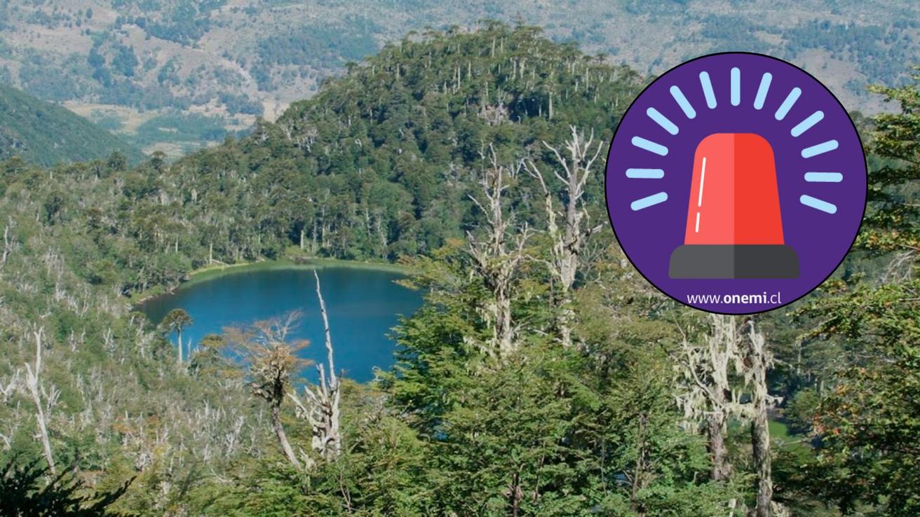 Incendio forestal en Reserva Nacional Malleco: Decretan Alerta Roja tras caída de rayo en área protegida