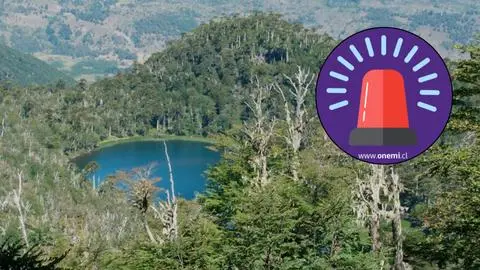 Incendio forestal en Reserva Nacional Malleco: Decretan Alerta Roja tras caída de rayo en área protegida