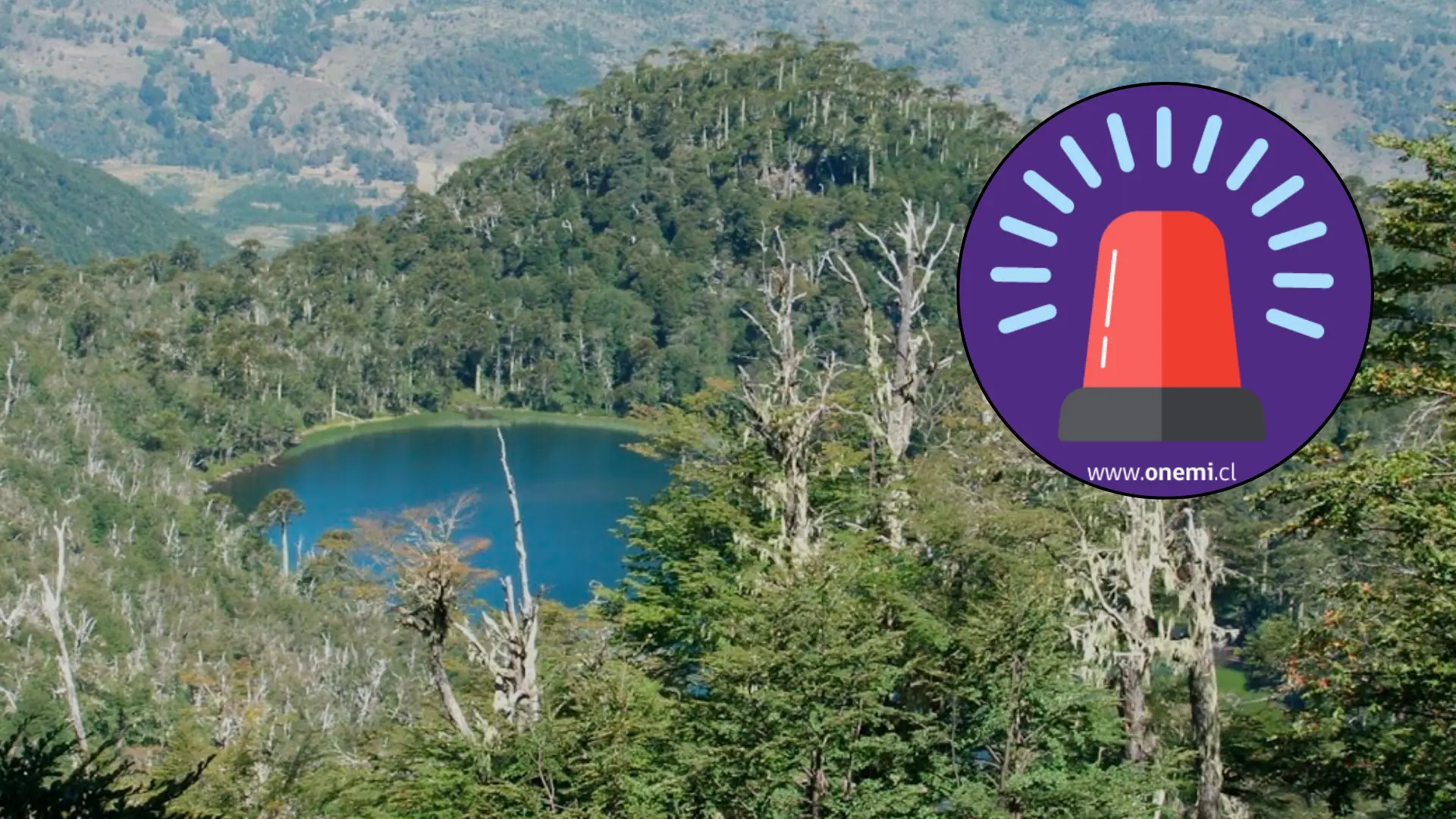 Incendio forestal en Reserva Nacional Malleco: Decretan Alerta Roja tras caída de rayo en área protegida