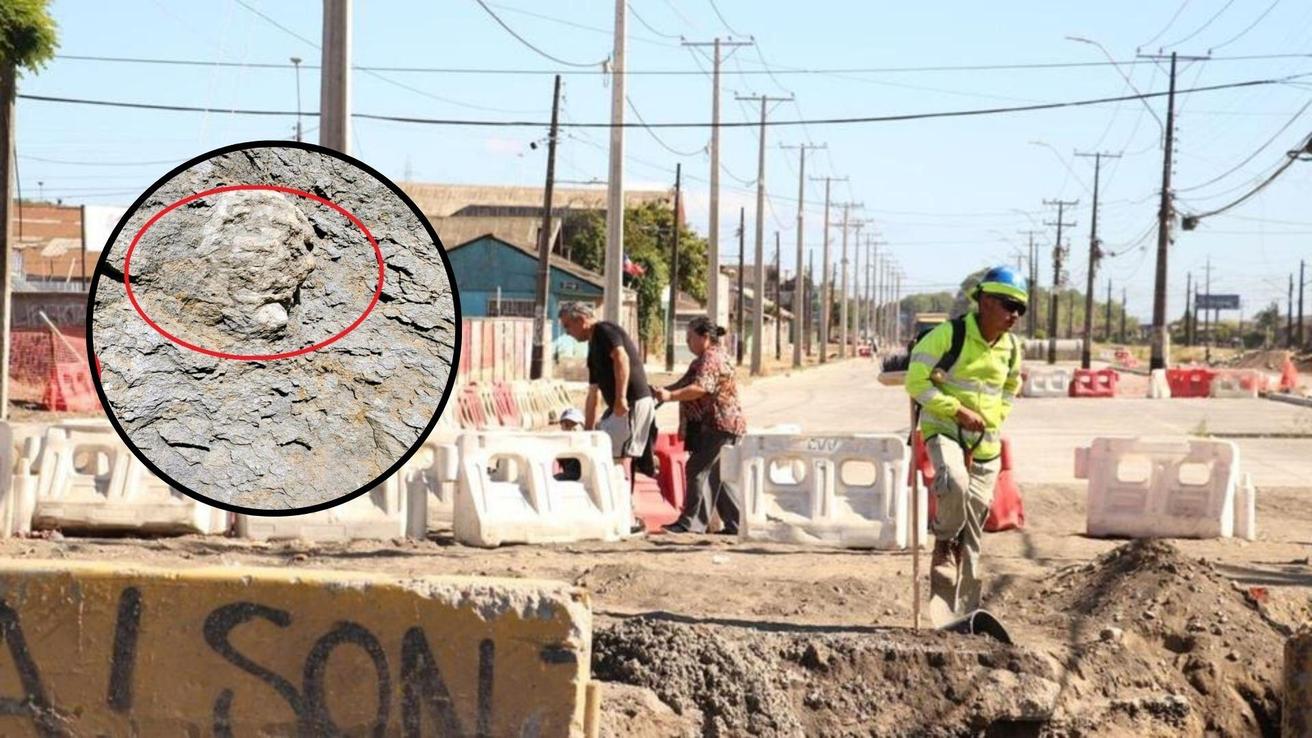 Hallazgo paleontológico de millones de años en obras de Eje Colón: Aseguran que no habrá retrasos en los trabajos