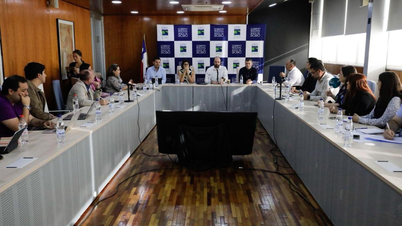 Gore Biobío lidera gestiones para reactivar emprendimientos en zonas afectadas por incendios