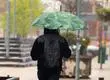 Esta semana vuelven las lluvias al Biobío con probabilidades de tormenta eléctrica