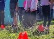 Hasta fines de febrero funcionará escuela de verano de emergencia en Lirquén para que “los niños sigan siendo niños”
