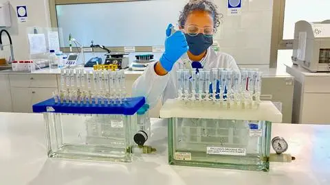 Aguas residuales evidencian aumento en el consumo de cocaína y ketamina en el Biobío: Posibles impactos ambientales