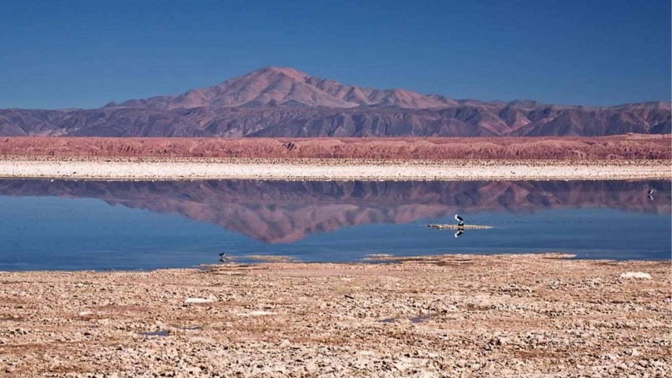 Atacama refuerza la protección de sus salares y lagunas con nueva red ambiental