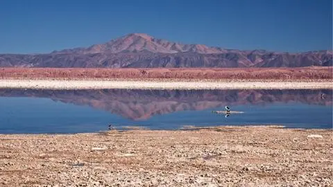Atacama refuerza la protección de sus salares y lagunas con nueva red ambiental