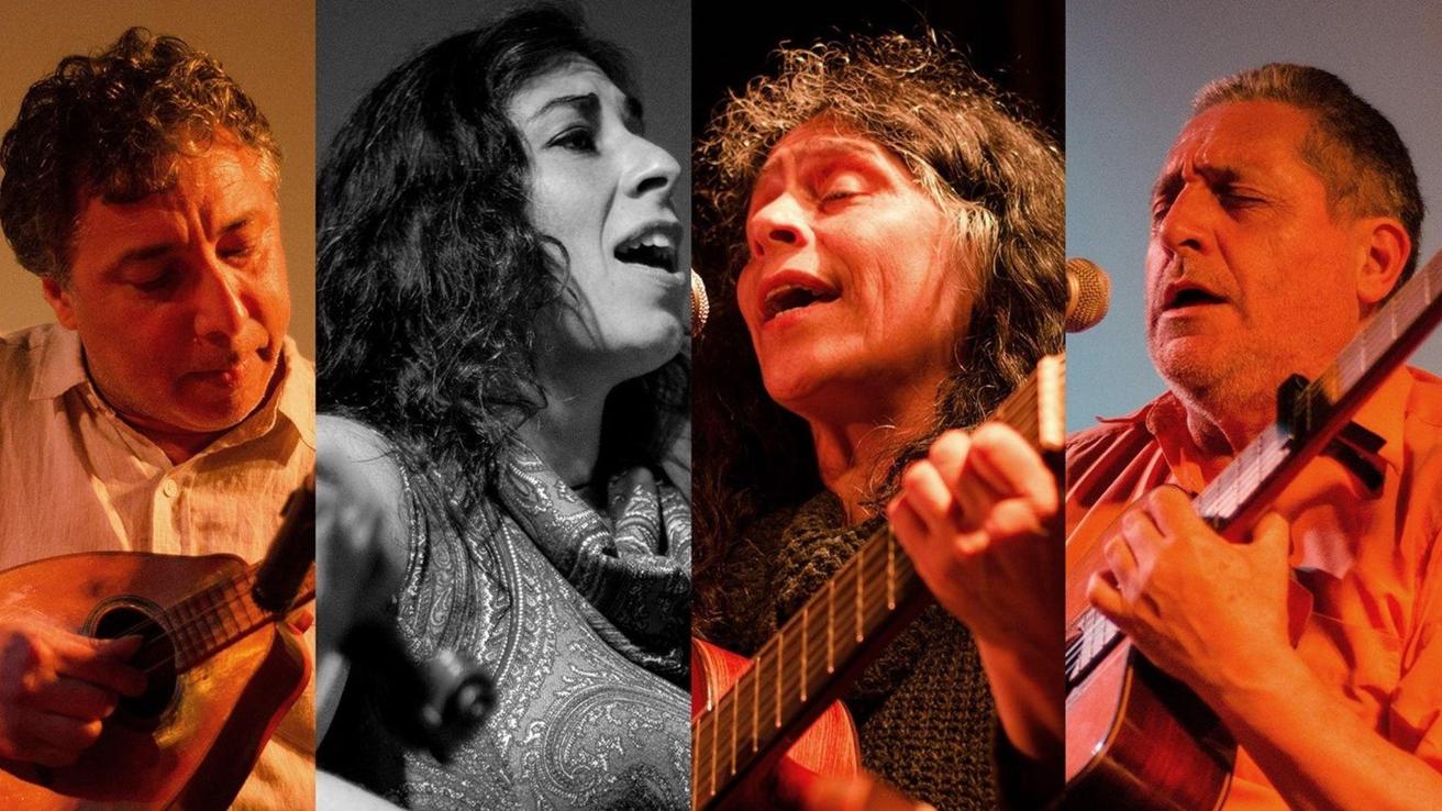 “Paga lo que puedas”: Artistas regionales realizarán jornada solidaria en apoyo a los afectados por incendios forestales