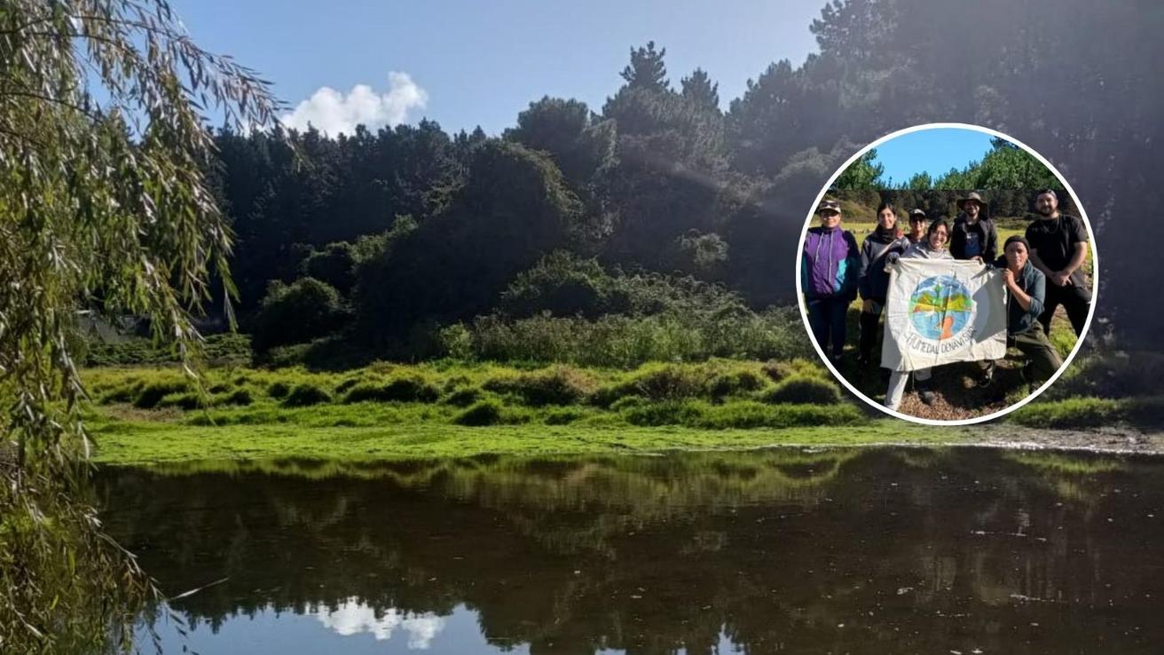 Comunidad convoca jornada de limpieza en el Humedal Denavi Sur de Talcahuano este sábado