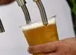 Conocidas cervezas chilenas obtienen importantes premios en concurso internacional