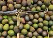 Este es el único país del mundo que supera a Chile en consumo de palta