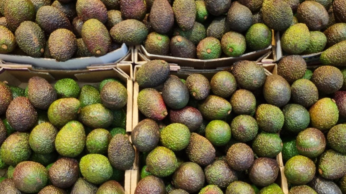 Este es el único país del mundo que supera a Chile en consumo de palta