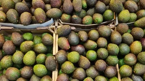 Este es el único país del mundo que supera a Chile en consumo de palta