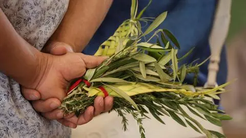 ¿Por qué se celebra Domingo de Ramos? Estos son sus orígenes y su significado