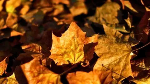 Anuncian “calor otoñal” para el Biobío y otras regiones en Chile