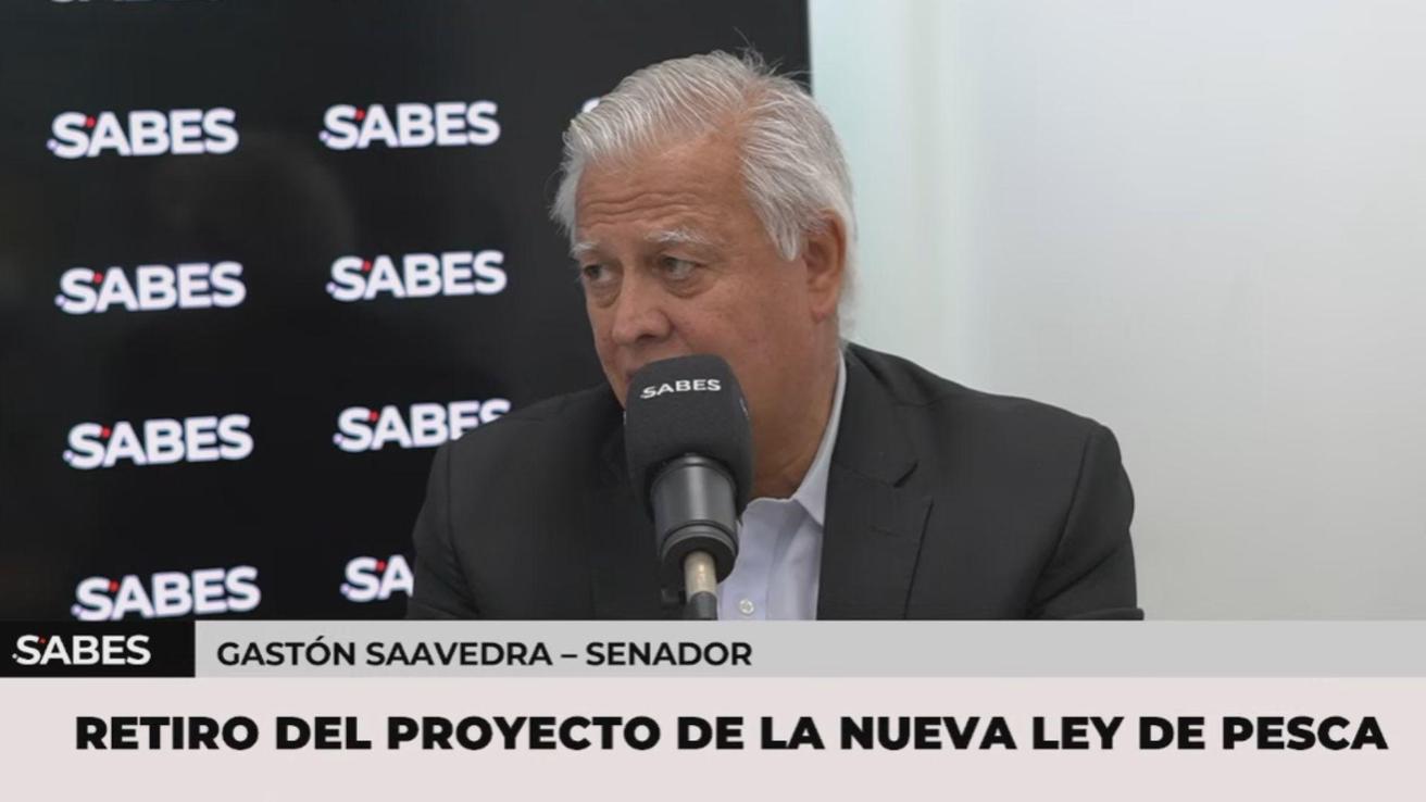 “Yo creo que representa una empresa”: Senador Gastón Saavedra apunta contra ministro Quiroz por el manejo frente al alza de los combustibles