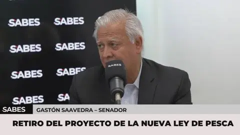 “Yo creo que representa una empresa”: Senador Gastón Saavedra apunta contra ministro Quiroz por el manejo frente al alza de los combustibles