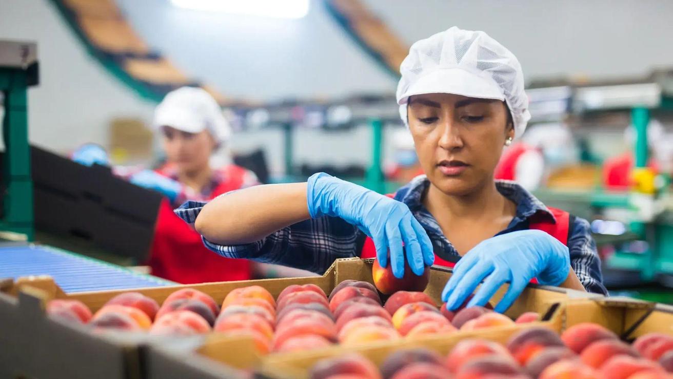 Cámara baja aprueba nuevo Subsidio Unificado al Empleo (SUE) 2026: montos y requisitos del proyecto