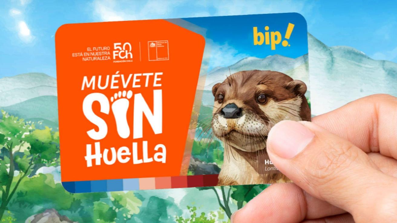 Metro de Santiago lanza nueva tarjeta bip! con Huillín como protagonista: en qué estaciones comprarla