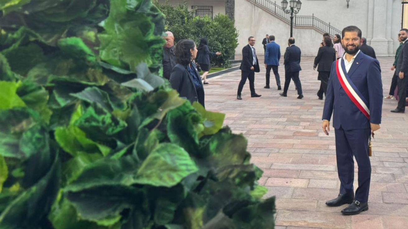 Periodista llegó a La Moneda vestido de árbol y sacó carcajada al Presidente Boric en la previa del cambio de mando