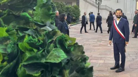Periodista llegó a La Moneda vestido de árbol y sacó carcajada al Presidente Boric en la previa del cambio de mando