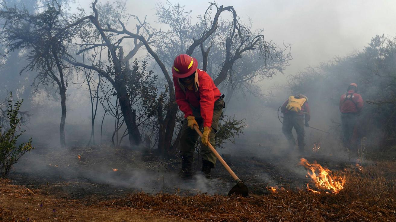 Declaran Alerta Roja en Valparaíso por incendio forestal: Fuego está a pocos metros de viviendas