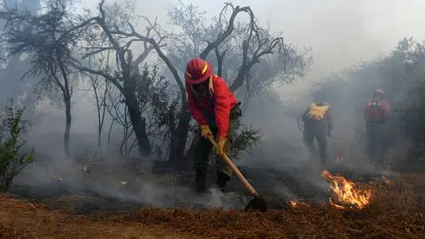 Declaran Alerta Roja en Valparaíso por incendio forestal: Fuego está a pocos metros de viviendas